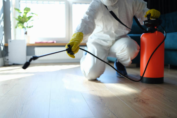 Reliable Odor Removal contractor in Oxon Hill, MD by Trauma Clean Pros